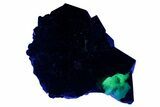 Fluorescent Hyalite Opal on Lustrous Black Tourmaline (Schorl) #239684-2